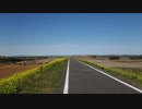自転車載動画テスト：桜見物しょーとぽた