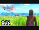 【実況】人見知りな勇者御一行と虚言癖の村人 #63【DQ11S】