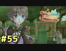【メルルのアトリエ】最高の国を作る錬金術師を目指して【実況】Part55