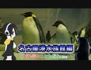 【動物紹介型Vtuber】どうぶつのともだち～名古屋港水族館～part1～【名無しのアデリー】