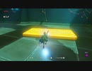 ゼルダの伝説BotW　二人で操作してみた 2