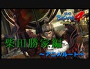 力を得るには志しかいらないのですか【戦国BASARA4　皇】　＃49