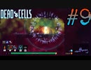 【Dead Cells】明るいな… #9