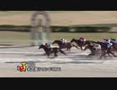 2020年3月12日名古屋競馬10R ＬＶＲ名古屋ラウンドＯＮＥ(B特別) メモリーディディ