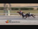 2020年3月12日名古屋競馬12R ＬＶＲ名古屋ラウンドＴＷＯ(B特別) フラッグインハート