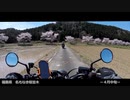 今年はどこに行こうかな。