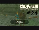【ゼルダの伝説BotW】記憶喪失だけどちょっと世界救ってくるPart24【実況】