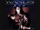 WANDS 2nd AL『時の扉』Digest
