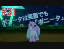 『ポケットモンスターシールド』英語版でプレイ Part21
