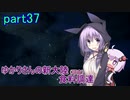 【MHW:IB】ゆかりさんの新大陸(調査)食料調達 part37