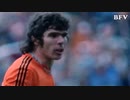 【サッカー】ファン・ハネヘム スーパープレイ集【デクロム】