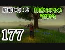 【実況】過ぎ去りし脳筋を求めて【DQ11S】　part177
