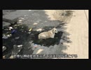 【建築探訪記】インド準備編：インドの気候と現状【ゆっくり】