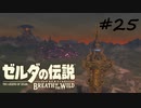 【ゼルダの伝説BotW】記憶喪失だけどちょっと世界救ってくるPart25【実況】