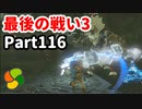 【実況】今年で定年を迎える父をハイラルの大地に放り込むPart116【ゼルダの伝説BotW】