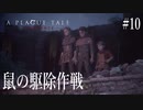【A PLAGUE TALE 】 #10 集合体の他個体の上を動く意味が理解できない