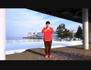 ハイドアンドシーク【踊ってみた】