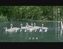『三和酒類「いいちこ」CM』ビリーバンバン菅原進さん「はなしらべ」歌ってみた音源差し替え版