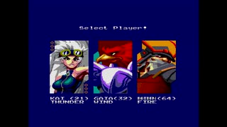 Wing Warriors [SEGA Master System版PAL MD実機]