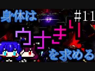 【DAEMON X MACHINA】身体はウナきりを求める#11【東北きりたん＆音街ウナ】