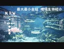 【MHWI】環境生物最大最小金冠紹介41ホッピングッピー