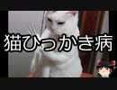 【ゆっくり朗読】ゆっくりさんと不思議な病気 その161