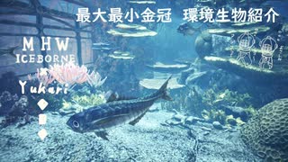 【MHWI】環境生物最大最小金冠紹介43キレアジ