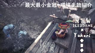 【MHWI】環境生物最大最小金冠紹介44大食いマグロ