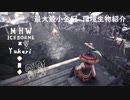 【MHWI】環境生物最大最小金冠紹介48小金魚