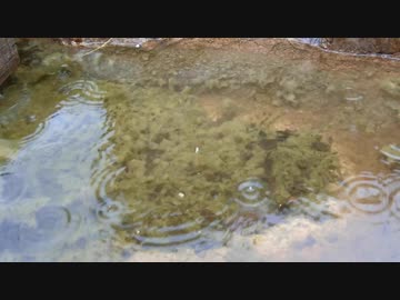 雨の降る音3【作業用BGM】