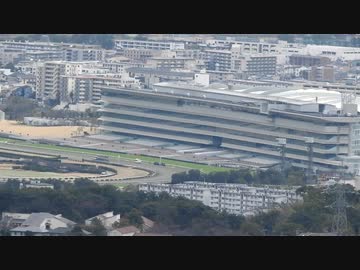 【現地？観戦】2020年 阪神スプリングジャンプ・オジュウチョウサン石神深一