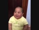 【ループ推奨】絶対に笑う動画【巻き込まれ不可避】