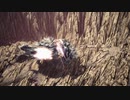 モンスターハンターアイスボーン　ＭＨＷ，ＭＨＷＩpart68　殲滅の主はまた鐘を鳴らす