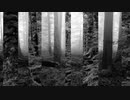 White forest / -H