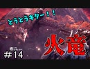 【実況】独りで狩りつくすMHWI [part14]