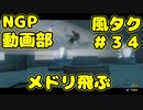 メドリ飛ぶ【ゼルダの伝説 風のタクトHD】＃３４