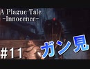 【ホラー】なんでコイツこんなに見てくるんだ？ｗ【A Plague Tale Innocence】#11
