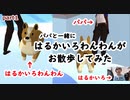 【パパと一緒に】はるかいろわんわんがお散歩してみた part1【ゲーム実況】