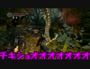 【VOICEROID実況】廃の姉妹達が行くロードラン　part14【ダークソウルDoA】