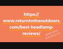 Best Belly Band Holster in 2020 Reviews