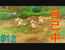 【実況】力こそ正義なポケモン救助隊【ポケモン不思議のダンジョン 救助隊DX】12階