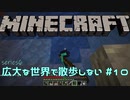 【実況プレイ】広大な世界で散歩しない【Minecraft】【第六回】#10