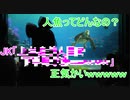 JKの人魚の説明にクラッシュ爆笑【タートルトーク】東京ディズニーシー
