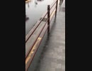 ガードレール的な？