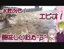 英雄不在でもエンジョイするおハジキとりりむちゃん【＃起きろエビオ】