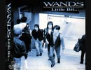 WANDS 3rd AL『Little Bit...』Digest