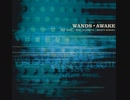 WANDS 5th AL『AWAKE』Digest