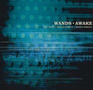 WANDS 5th AL『AWAKE』Digest