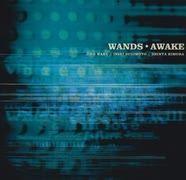 WANDS 5th AL『AWAKE』Digest