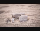 MEGARYU/DEAR【カバー】